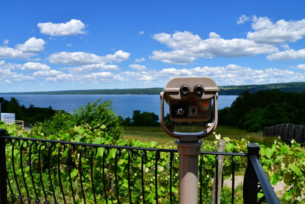 Seneca Lake vineyard or agricultural slope with lake visible