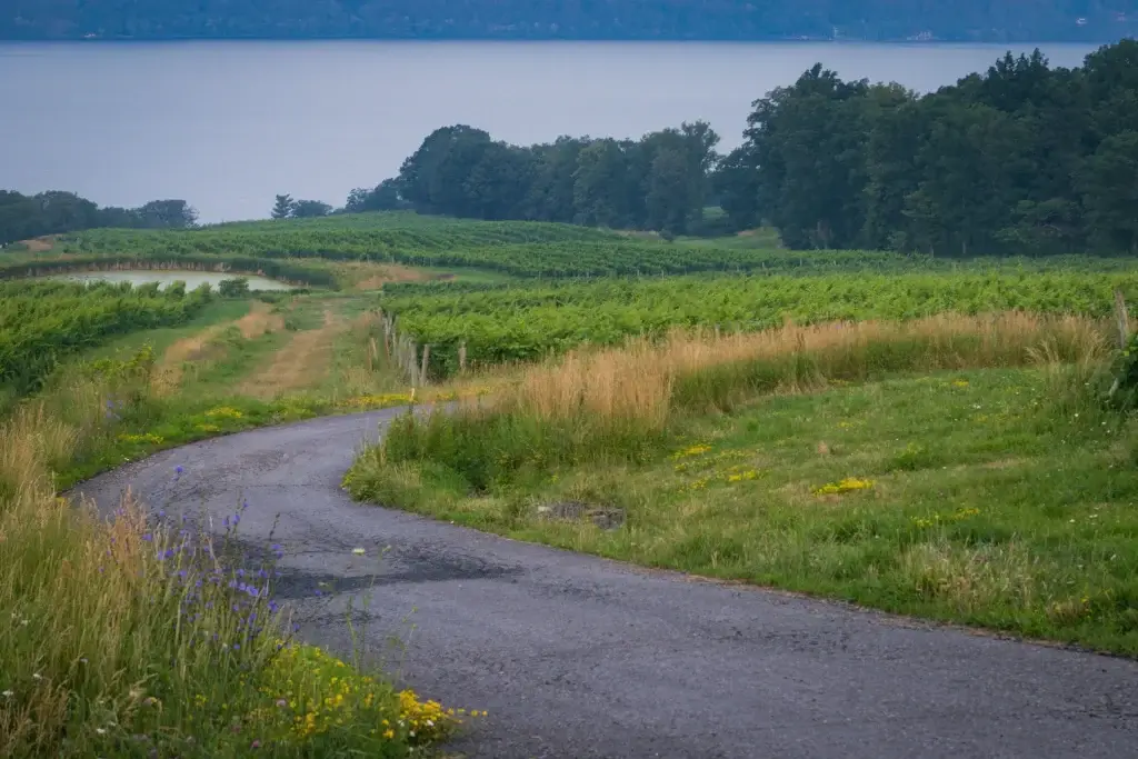 Named Finger Lakes vineyard with visible lake influence and exact metadata
