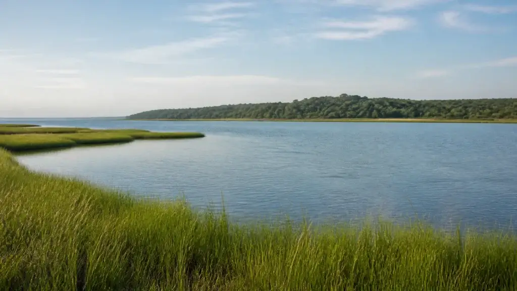 Shinnecock Bay, Shinnecock Nation public institution exterior, or Montauk landscape with exact metadata and no ceremony