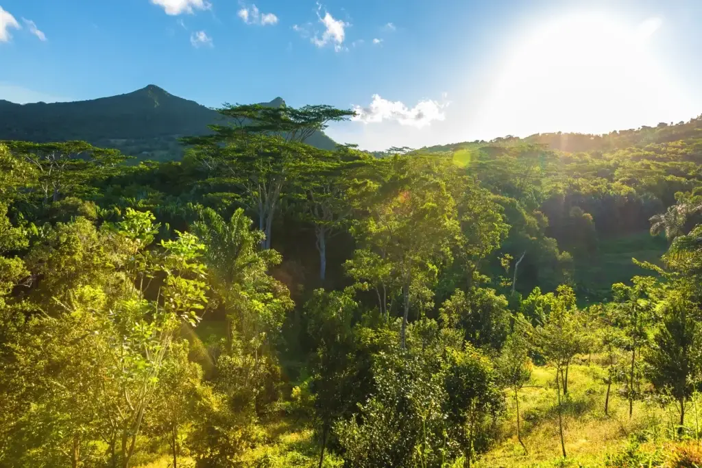 Mauritius island conservation