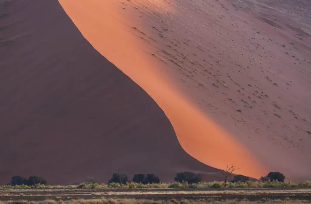 Sossusvlei or Namib Sand Sea at first light