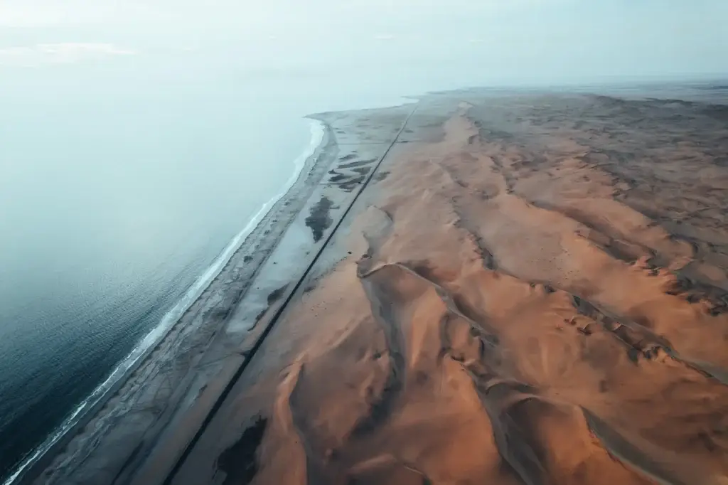 Skeleton Coast fog and Atlantic desert