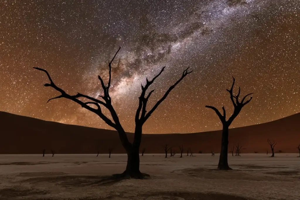 Namibian dark-sky desert evening