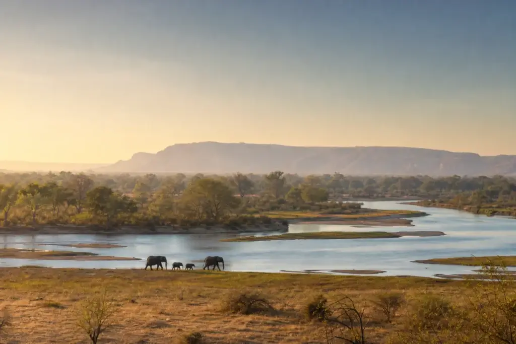 Zambian river and safari landscape