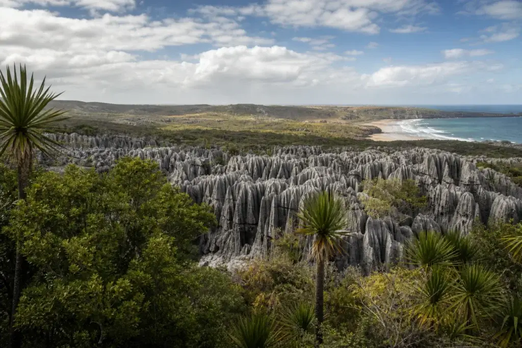 Madagascar endemic forest, karst and coast route