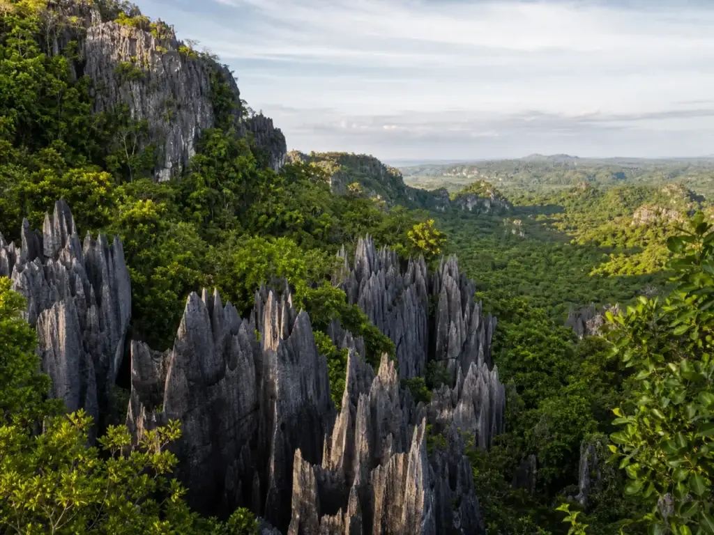 Northern Madagascar forest and karst