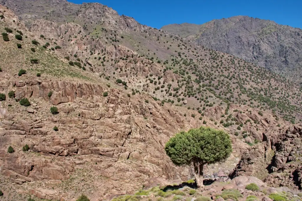 High Atlas and pre-Saharan landscape