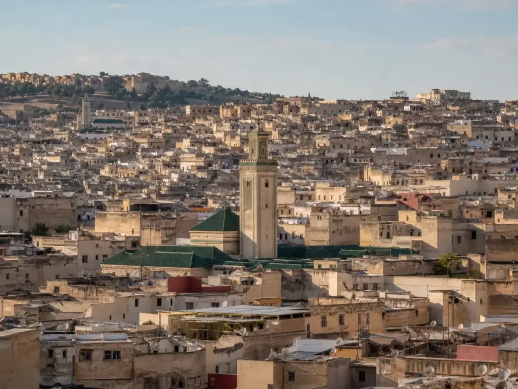 Medina of Fez urban fabric