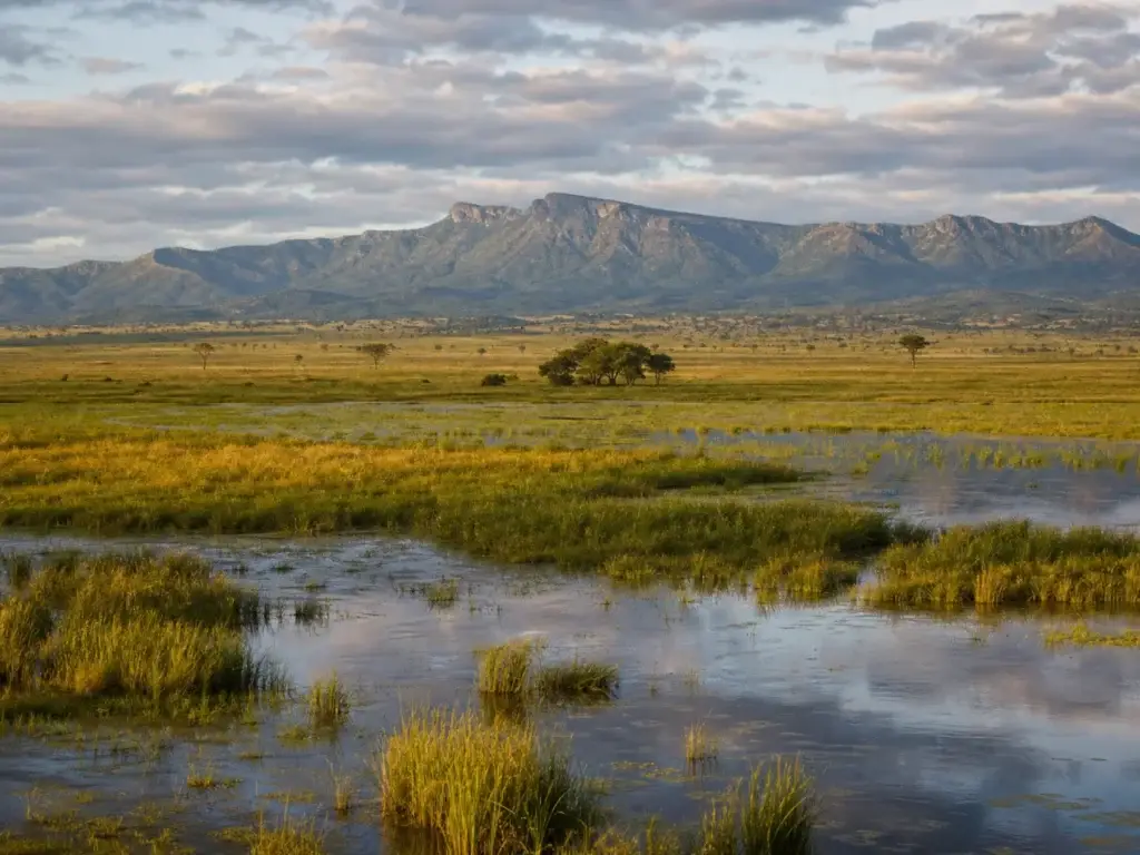 AI-generated editorial visualization: Gorongosa floodplain and mountain. Not a documentary photograph.