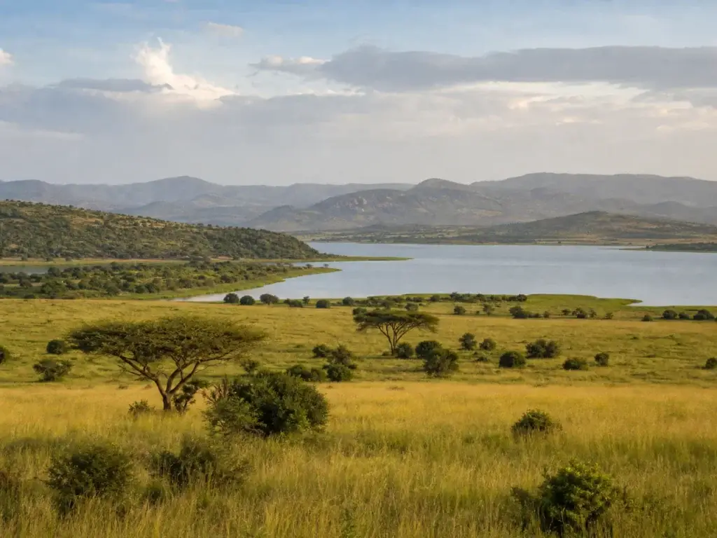 Akagera savannah and lakes