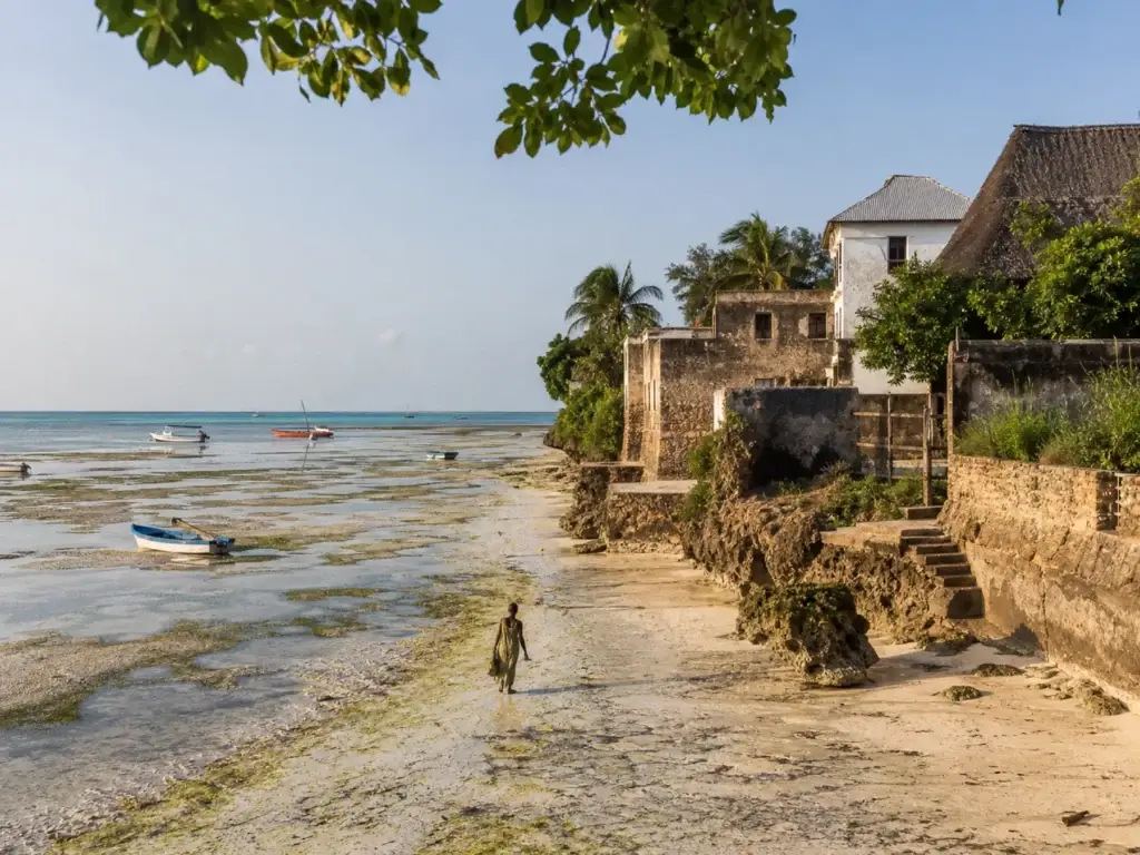 Zanzibar coast with visible tide context