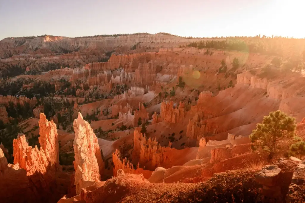 Bryce amphitheater at early light