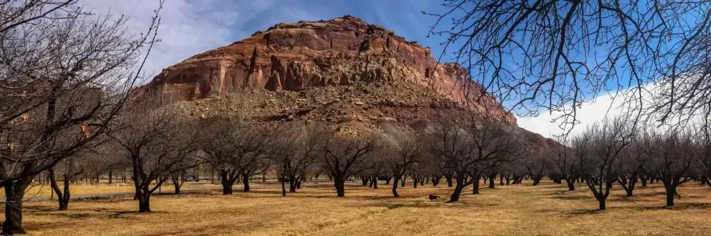 Fruita orchard cultural landscape