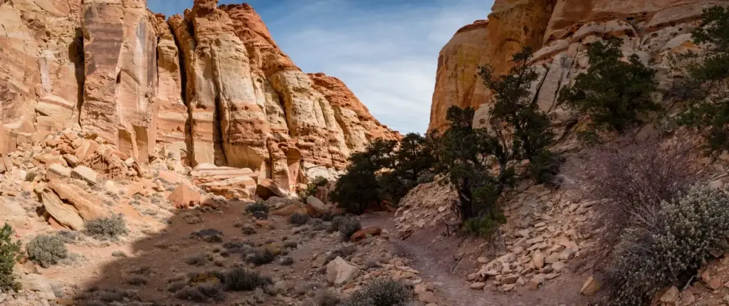 Capitol Reef wash or overlook