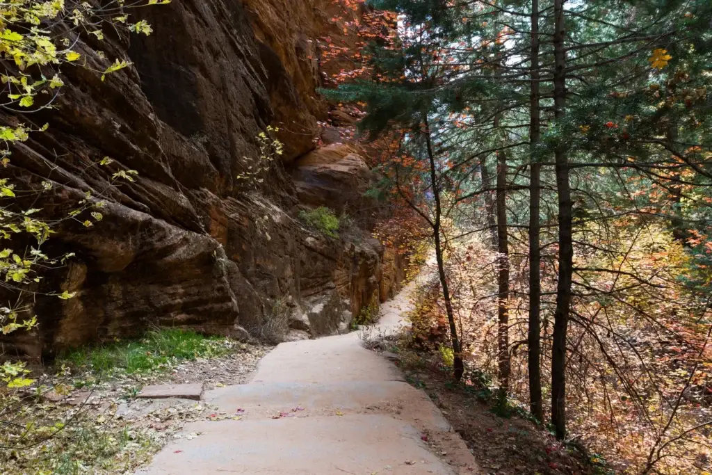 Zion geology and river landscape