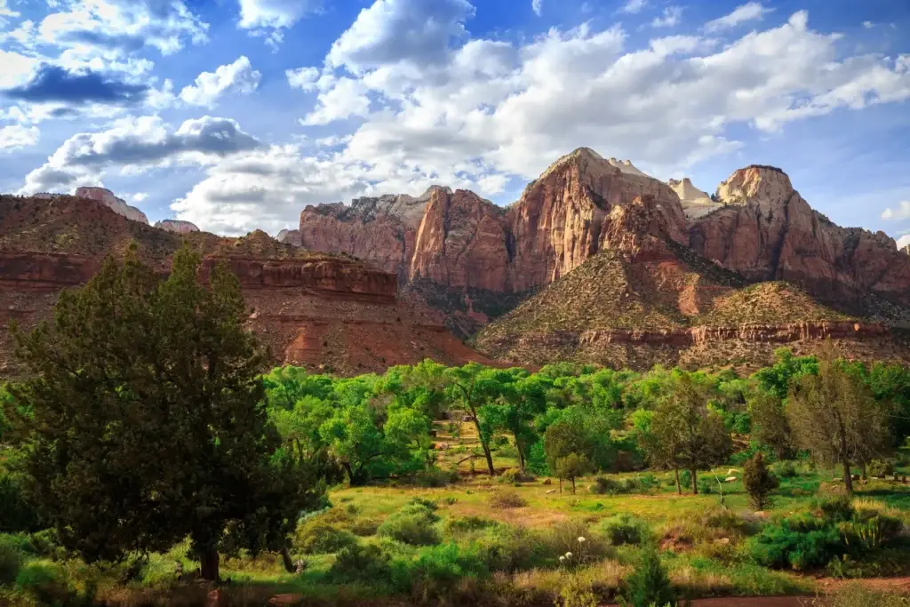 Greater Zion desert naturalist context
