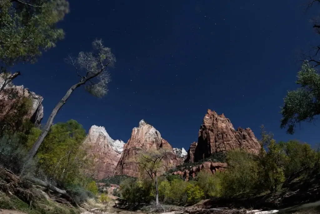 Zion dark sky